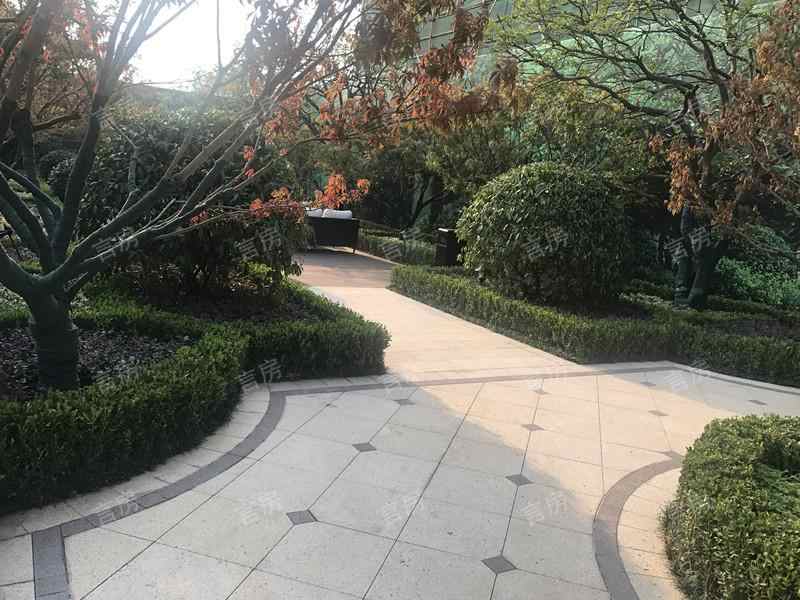 上海浦西玫瑰园实景图