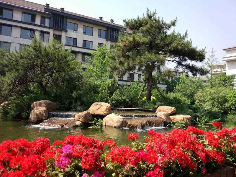 上海浦西玫瑰园实景图