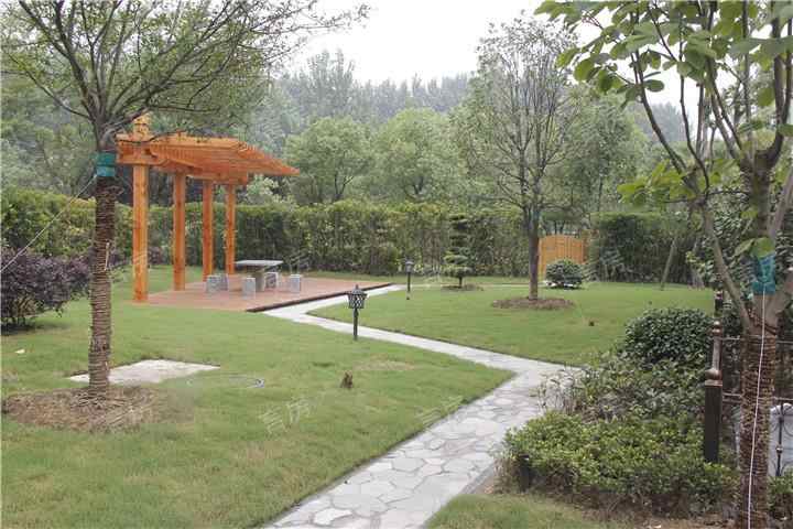 尚湖玫瑰园实景图