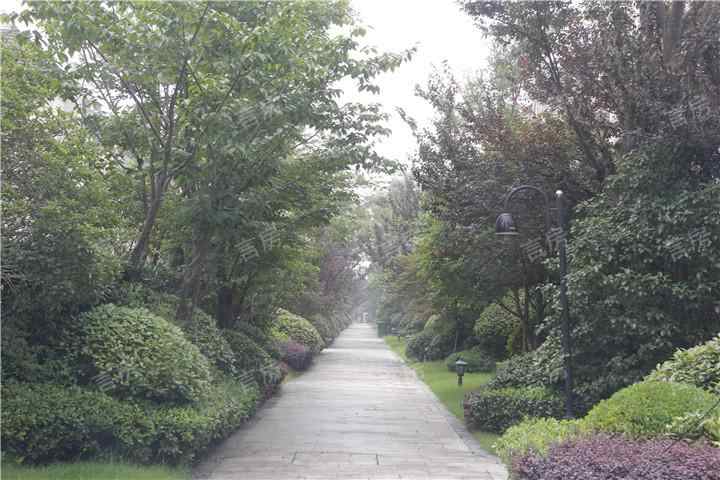 尚湖玫瑰园实景图