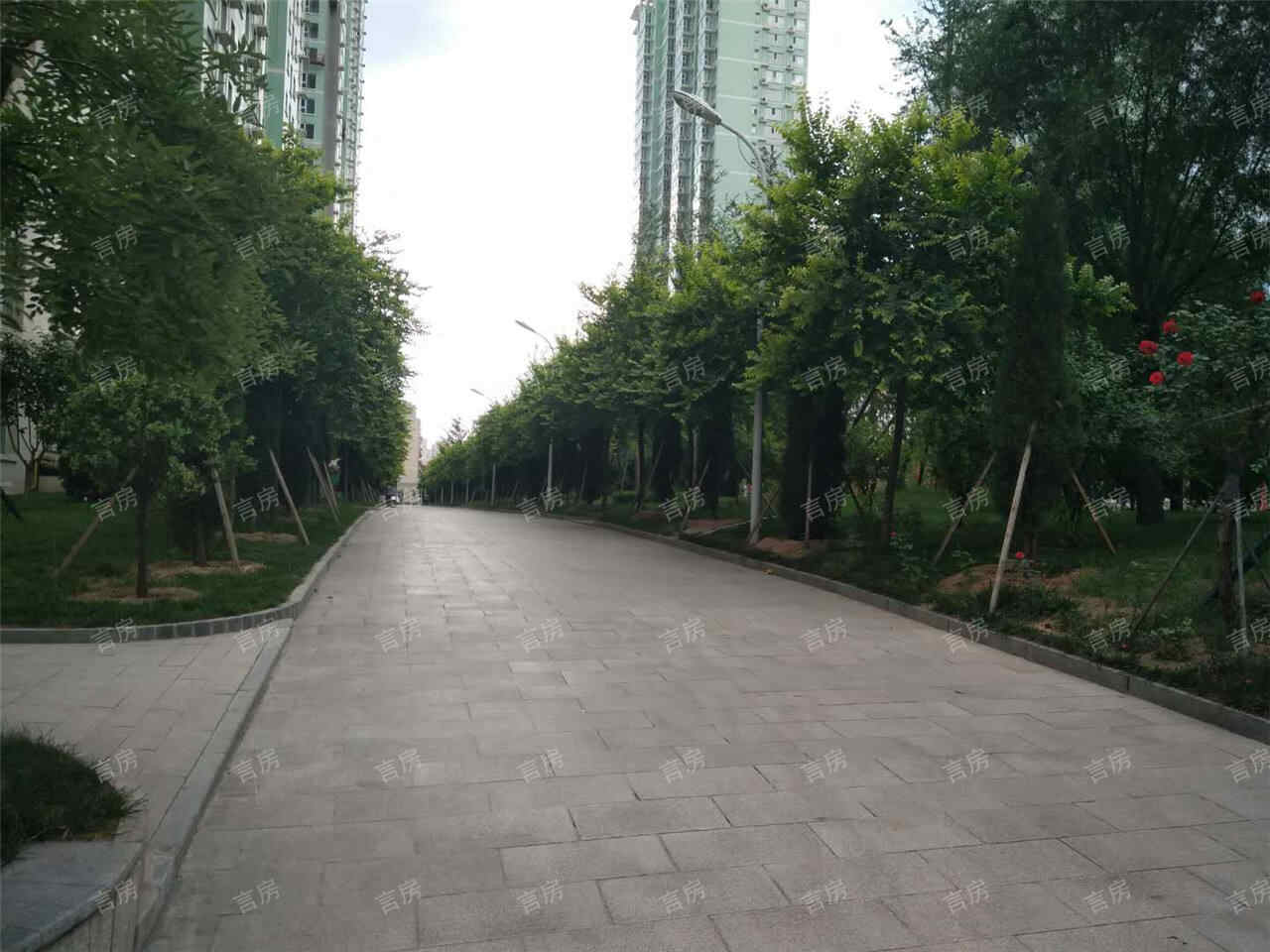 天峰·国际新城现场图片