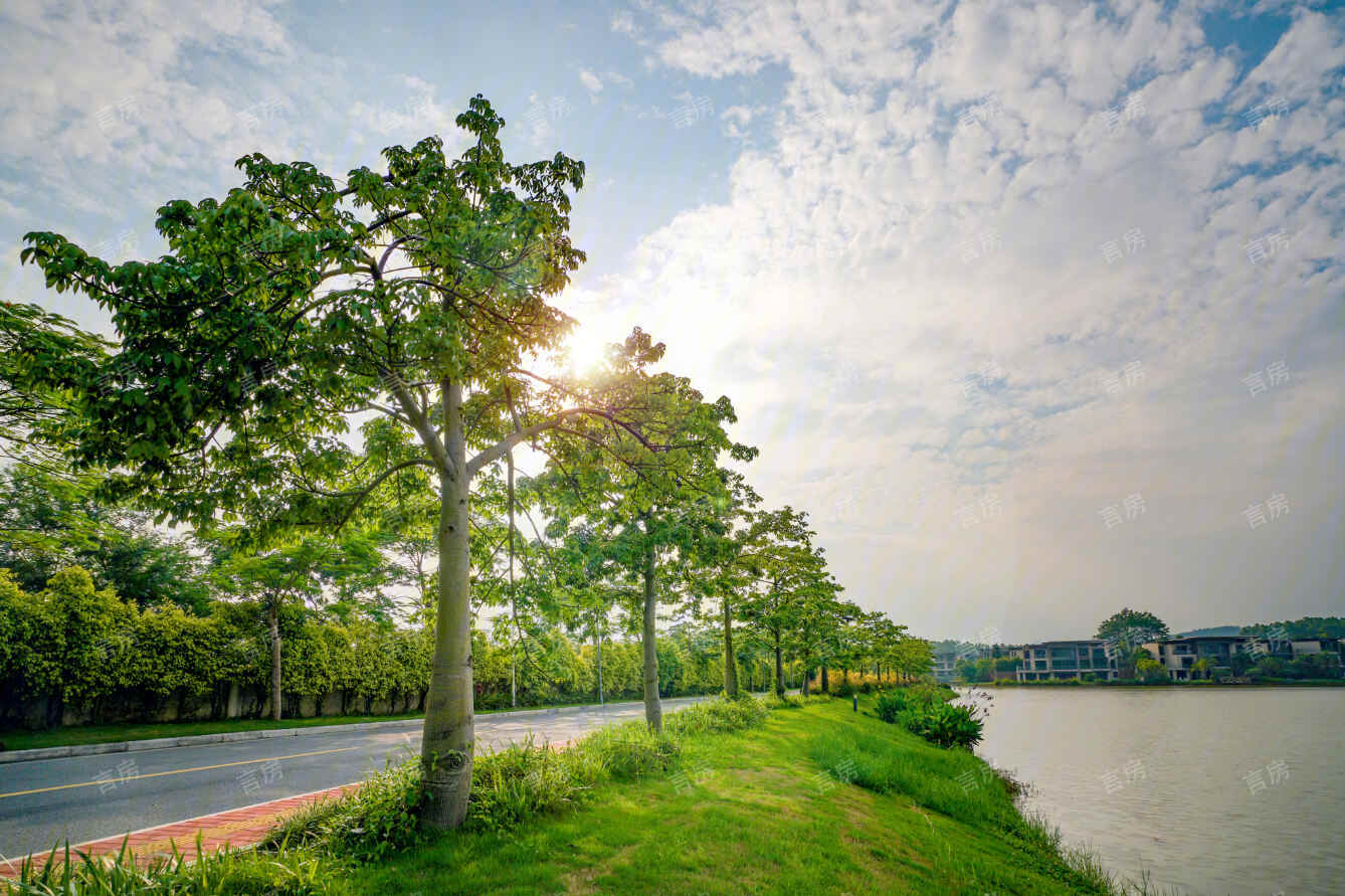 绿地樾湖国际生态城现场图片