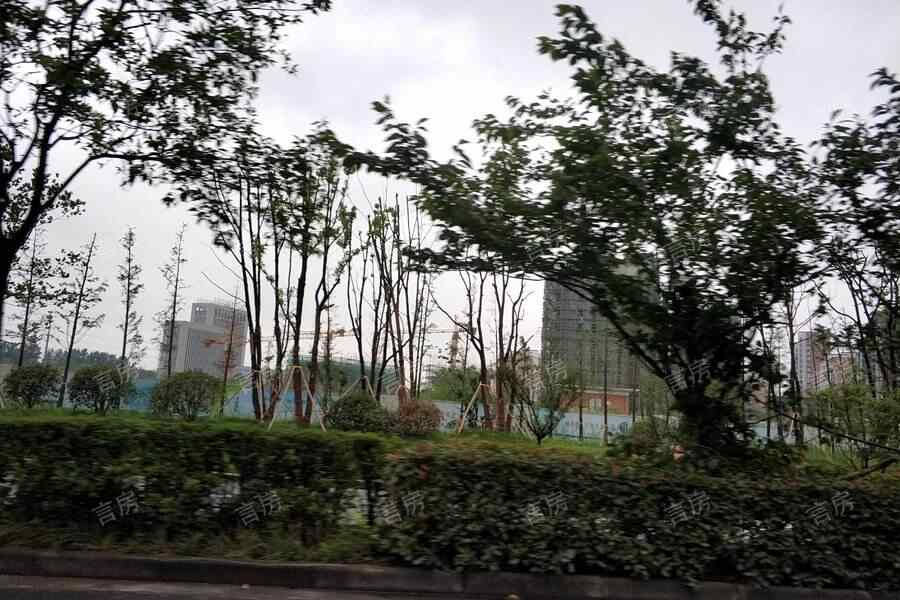 九龙湾树人园实景图