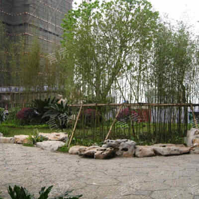 桂丹颐景园现场图片