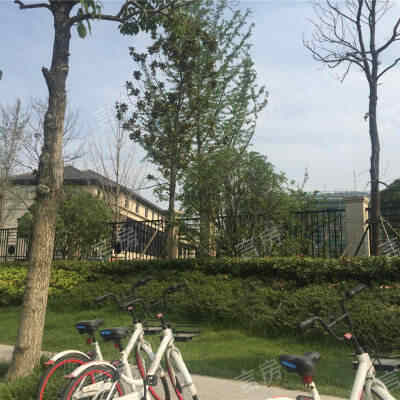 扬州天下花园现场图片