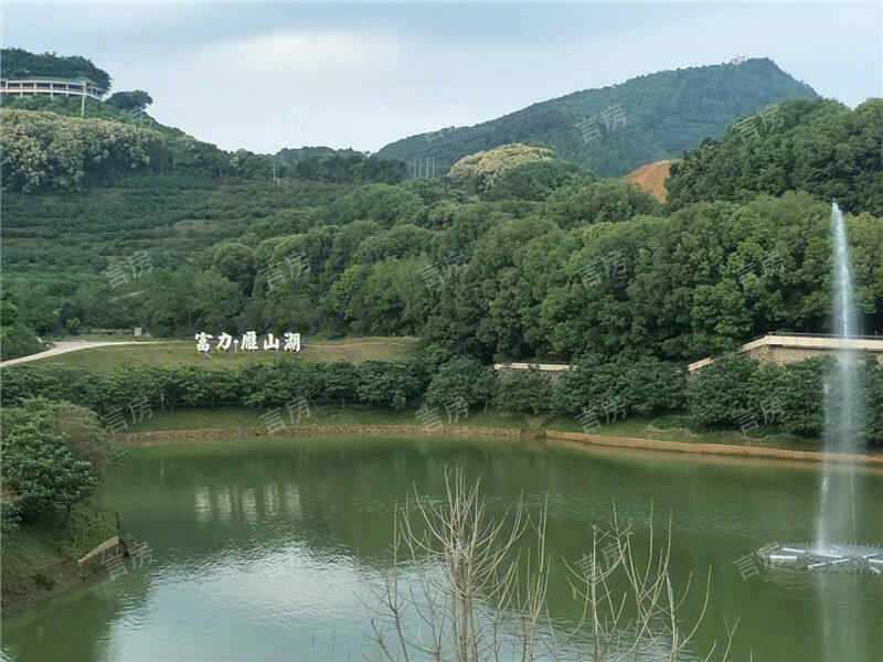 梅州富力雁山湖现场图片
